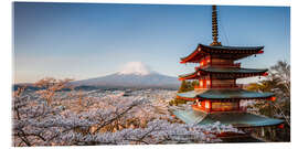 Acrylic print Pagoda and Mt. Fuji with cherry blossom, Japan