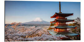 Aluminium print Pagoda and Mt. Fuji with cherry blossom, Japan