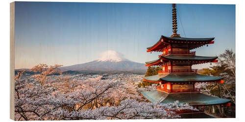 Puutaulu Pagoda and Mt. Fuji with cherry blossom, Japan