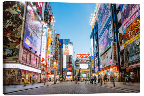 Canvas print Akihabara electric town, Tokyo, Japan