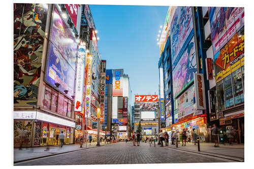 Tableau en PVC Akihabara Electric Town, Tokyo, Japon