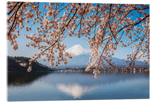 Acrylglasbild Mt. Fuji und Kirschbaum, Japan