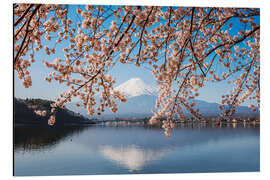 Alubild Mt. Fuji und Kirschbaum, Japan