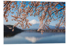 Tableau en PVC Mont Fuji et cerisier, Japon