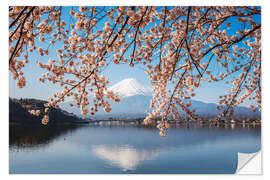 Selvklebende plakat Mt. Fuji and cherry tree, Japan