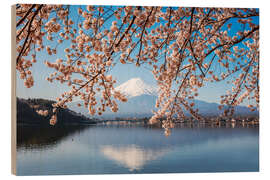 Wood print Mt. Fuji and cherry tree, Japan