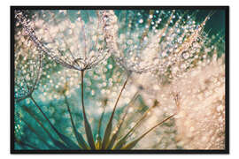 Gerahmter Kunstdruck Pusteblume Tropfentraum