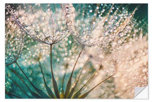 Naklejka na ścianę Dandelion dropper dream