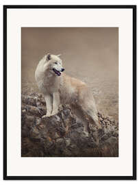 Gerahmter Kunstdruck Weißer Wolf