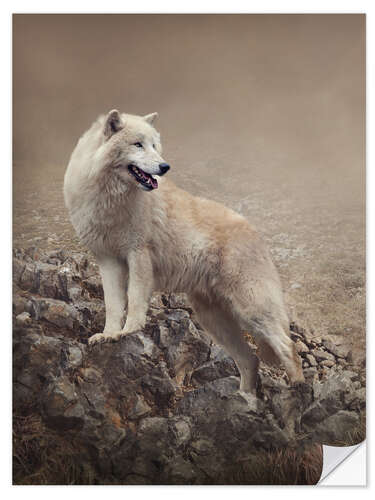 Muursticker White wolf