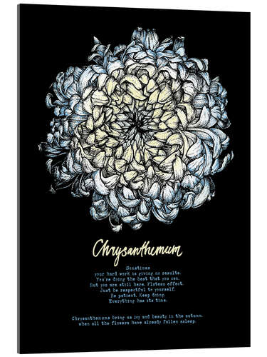 Akrylglastavla Everything in its time - Chrysanthemum