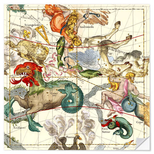 Wall sticker Celestial Atlas, plate 2