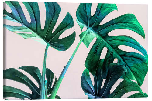 Canvas print Wild Leaves