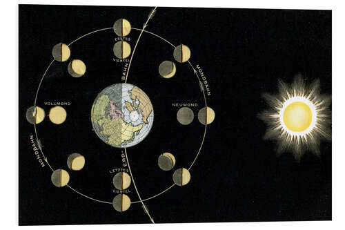 Stampa su PVC Le fasi lunari (tedesco)