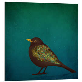 Aluminium print Amsel