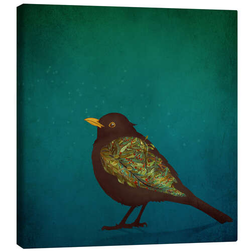 Canvas print Blackbird