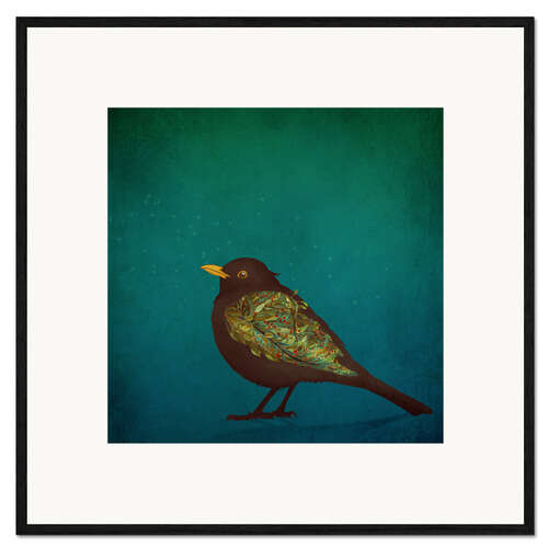 Framed art print Blackbird