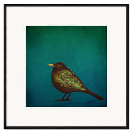 Framed art print Blackbird