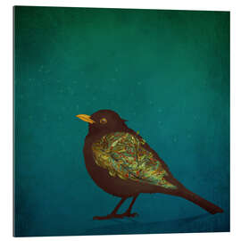 Gallery print Amsel