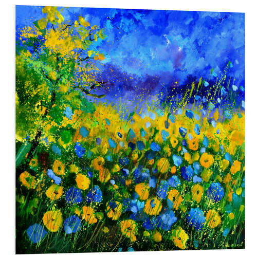 Foam board print Field of cornflowers I