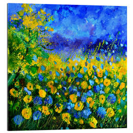 Quadro em plexi-alumínio Field of cornflowers I