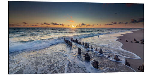 Aluminiumsbilde Groynes in the sunset