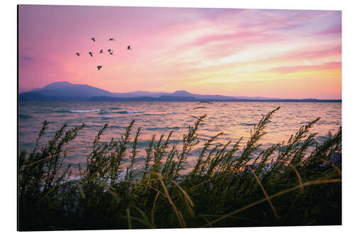 Aluminium print Lake Garda Sunrise