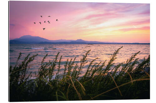 Tableau en plexi-alu Lever de soleil sur le lac de Garde