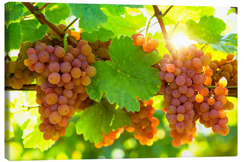 Canvas print Pink grapes