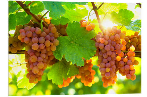 Galleriprint Pink grapes