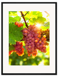 Gerahmter Kunstdruck Rosa Trauben