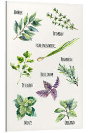 Aluminium print Herbs (German)