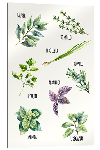 Gallery print Spices - Spanish