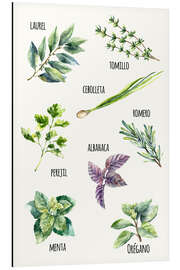 Magnettafel Gewürze - Spanisch