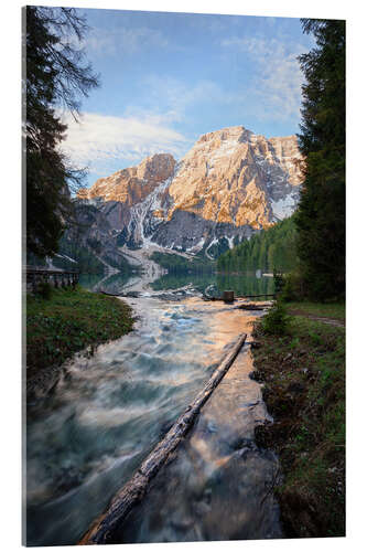 Acrylic print Wildsee perspective