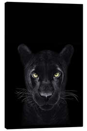 Lærredsbillede  Panther på sort - Valeriya Korenkova