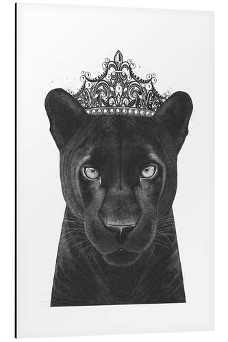 Aluminium print Queen Panthers