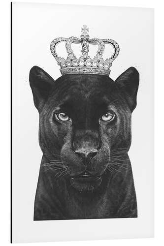 Aluminium print The King panthers