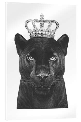 Gallery print The King panthers