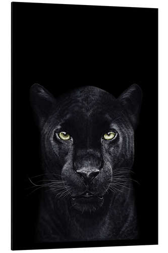 Aluminium print Black panther on a black background