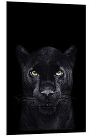 Foam board print Black panther on a black background