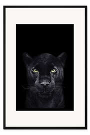 Gerahmter Kunstdruck Schwarzer Panther auf schwarzem Grund