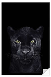 Sisustustarra Black panther on a black background