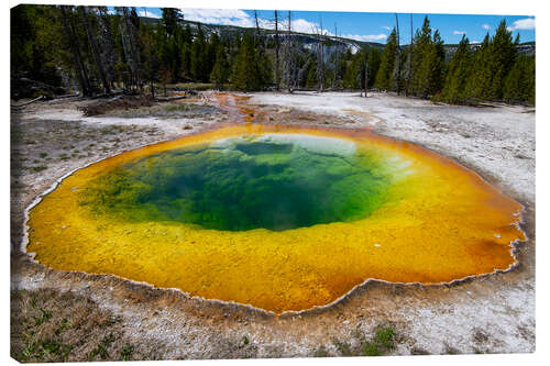 Canvas print Yellowstone morning glory