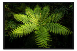 Gerahmter Kunstdruck Farnbaum