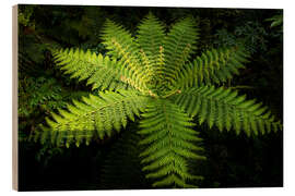 Wood print Fern