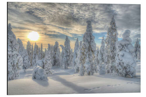 Aluminium print Winter forest