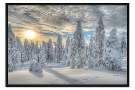 Gerahmter Kunstdruck Winterwald
