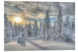 Foam board print Winter forest