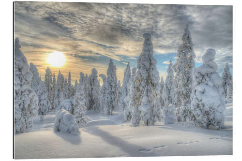 Galleriprint Winter forest